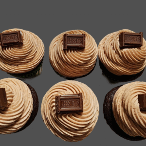 Double Chocolate Cupcakes