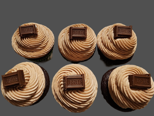 Double Chocolate Cupcakes